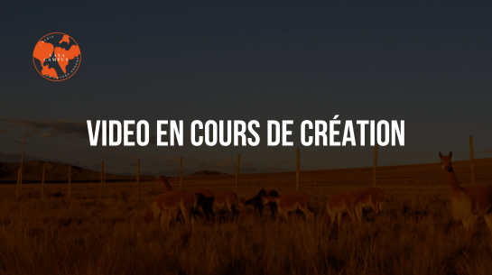 VIDEO EN COURS DE CRÉATION-2